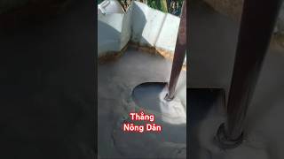 E1 How to mix Bordeaux solution to prevent plant diseases thangnongdan farming farmer [upl. by Tijnar]