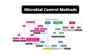 Microbial Control Methods [upl. by Yort260]