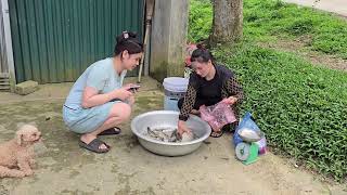 TIMELAPSE120 Days The Girl Made Fish Traps Fishing On The Large Freshwater Lake [upl. by Anina]