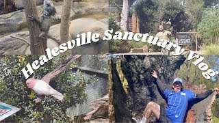 Healesville Sanctuary Zoos Victoria vlogs [upl. by Hays]