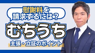 「むちうち」で慰謝料を請求するには？主張・立証のポイントと注意点を解説 [upl. by Bounds61]