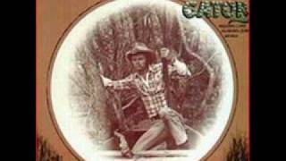 Jerry Reed  The Ballad of Gator McKlusky [upl. by Dave720]