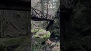 Ravennaschlucht wandern reise schlucht [upl. by Ari707]