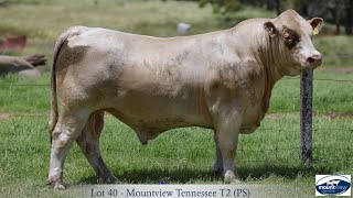 Lot 40 Mountview Tennessee T2 PS [upl. by Lletnahs967]