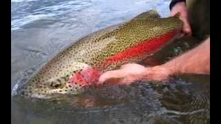 Alaska West  Kanektok River [upl. by Lambert368]