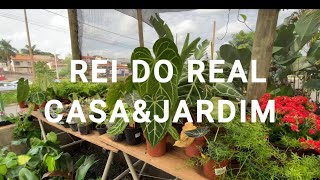 VISITANDO O GARDEM REI DO REAL CASA E JARDIM rosadodeserto [upl. by Whale]