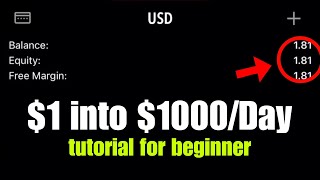 I raised ONE DOLLAR into 1000 in a Day  my vip tutorial with 100x results [upl. by Alroy]