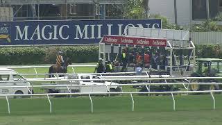 Heat 15 Doomben Jumpouts 5th Dec [upl. by Ardnal]