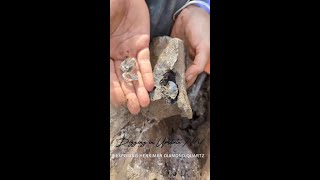 Digging Herkimer Diamonds Uncovering Herkimer Diamond Quartz matrix piece miningcrystals treasure [upl. by Riannon]