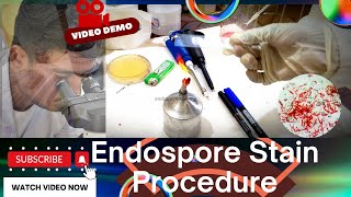 The Endospore Staining Procedure hereditybioacademy7062 microbiology [upl. by Dasteel]