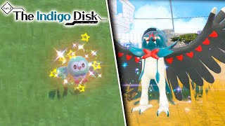 NEW EASY SHINY ROWLET EXPLOIT IN POKEMON VIOLET Best Location Shown  Indigo Disk DLC [upl. by Eiramalegna73]