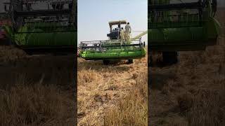 jhonedeerLT5310 balkarcombine jhona trending farming kisaanmajdooriktazidabaa [upl. by Gusta]