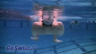 Swimming  Breaststroke  HeadLead Kick on Your Back [upl. by Airom]