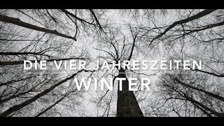 Der Wald in vier Jahreszeiten  Winter [upl. by Nylave473]