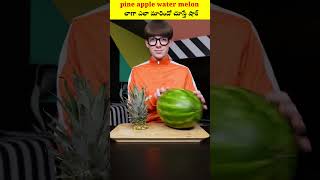 pine apple water melon లాగా ఎలా మారిందో చూస్తే షాక్shorts viral viralshort youtubeshorts [upl. by Scutt]