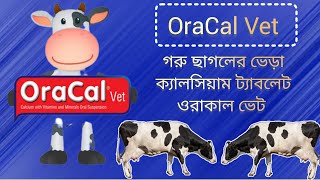 Oracal vet bolus  ওরাকাল ভেট বোলাস  ওরাকাল ভেট বোলাস খাওয়ানোর উপকারিতা [upl. by Syst]