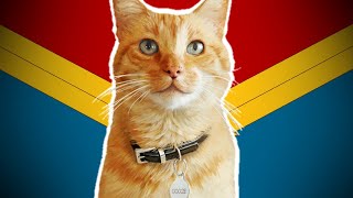 Goose The Cats Comic Book Origins Chewie  Captain Marvel [upl. by Adler]