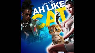 Mr Killa  Ah Like Cat  Official Audio  “Soca 2024” [upl. by Feigin]