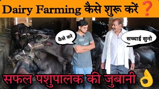 Dairy Farming कैसे शुरू करें❓how to start dairy farm business in india [upl. by Jared]