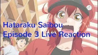 Hataraku Saibou Episode 3 Live Reaction [upl. by Naitsirhc]