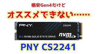 2TBで格安なGen4のSSDを買ってみたら何ともイマイチすぎました……。PNY CS2241性能レビュー [upl. by Aynna846]