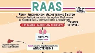 The ReninAngiotensinAldosterone System RAAS [upl. by Vizza586]