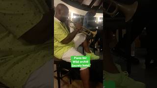 saxophonists jamaica pianobarmusic hotel coupleshorts holidayshorts [upl. by Gina]