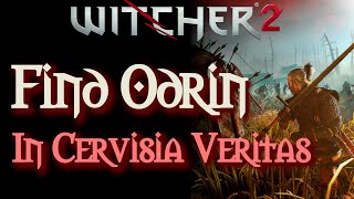 The Witcher 2 In Cervisia Veritas Odrins Location [upl. by Enytsuj739]