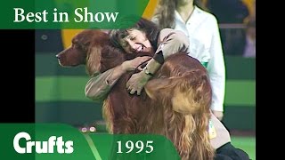 Irish Setter wins Crufts Best in Show at Crufts 1995  Crufts Classics [upl. by Leuqram950]