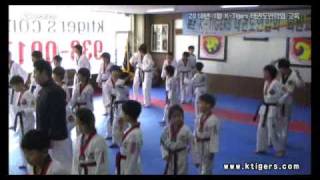 KTigers Taekwondo Federation training highlight January 2010 [upl. by Pietrek743]