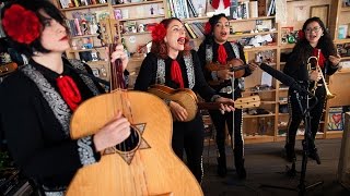 Mariachi Flor De Toloache NPR Music Tiny Desk Concert [upl. by Nrobyalc289]