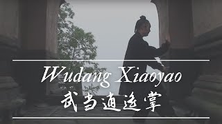 Wudang Tai Yi Xiao Yao Zhang 武当太乙逍遥掌  Master Ming Yue 明月师父 [upl. by Noiwtna]