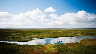 Wetlands  Explained [upl. by Philbin]