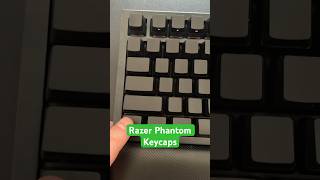 Razer Blackwidow v4 75  Razer Phantom Keycaps razer razerblackwidow razerphantom [upl. by Toy]