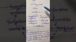 Amphibolic pathway [upl. by Asehr]