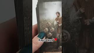 прогноз гаданиеонлайн таро tarot таролог гадание [upl. by Mahan392]