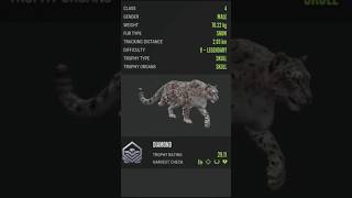 Diamond Snow Leopard on Sundarpatan The Hunter Call of the Wild  shorts cotw sundarpatan [upl. by Horatio]