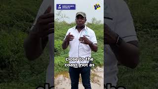 Minister Pearnel Charles Jr provide an overview of the damage caused by hurricaneberyl PT 2 [upl. by Otrevire]