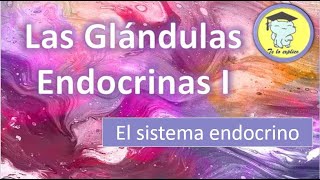 LAS GLÁNDULAS ENDOCRINAS  PARTE 1 [upl. by Yenetruoc42]