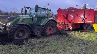 Farmvlog 342  Es hat ein Ende  Erntedank [upl. by Kensell]