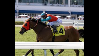 Gulfstream Park Resumen  21 de Marzo 2024 [upl. by Dusty845]