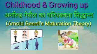 अर्नोल्ड गेसैल का परिपक्वता सिद्धान्त Arnold Gesells Maturation TheoryBEd 1st year [upl. by Llenrup622]