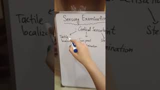 Sensory ExaminationSensory System ExaminationExamination Of Sensory Nervous system [upl. by Adias]