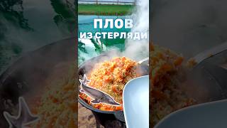 Плов из рыбы с пруда на участке Плов с мясом стерляди приготовление в казане на костре плов [upl. by Darach510]