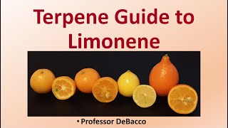 Terpene Guide to Limonene [upl. by Huntingdon528]