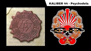 KALIBER 44  Psychodela OFFICIAL AUDIO [upl. by Ettelorahc]