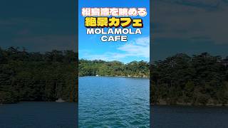 絶景‼︎松島湾を眺められるカフェMOLAMOLA CAFE【仙台グルメ】 [upl. by Christoper]