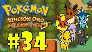 POKEMON ORO HEARTGOLD 34 El secreto de la ruta 32 [upl. by Ajna]