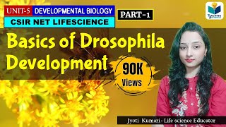 DEVELOPMENTAL BIOLOGY OF DROSOPHILA PART1  CSIR NET LIFESCIENCE  IMPORTANT [upl. by Dahlia]