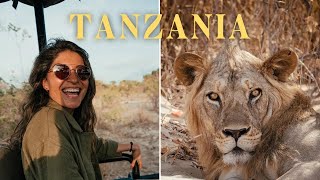 Safari of a Lifetime  Tanzania Cinematic Documentary [upl. by Ziom]